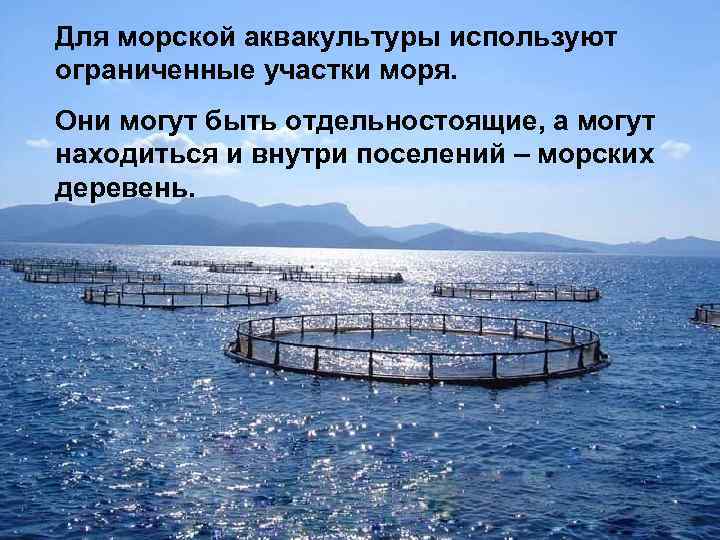 Для морской аквакультуры используют ограниченные участки моря. Они могут быть отдельностоящие, а могут находиться