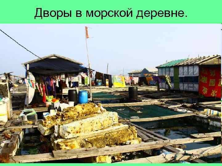 Дворы в морской деревне. 