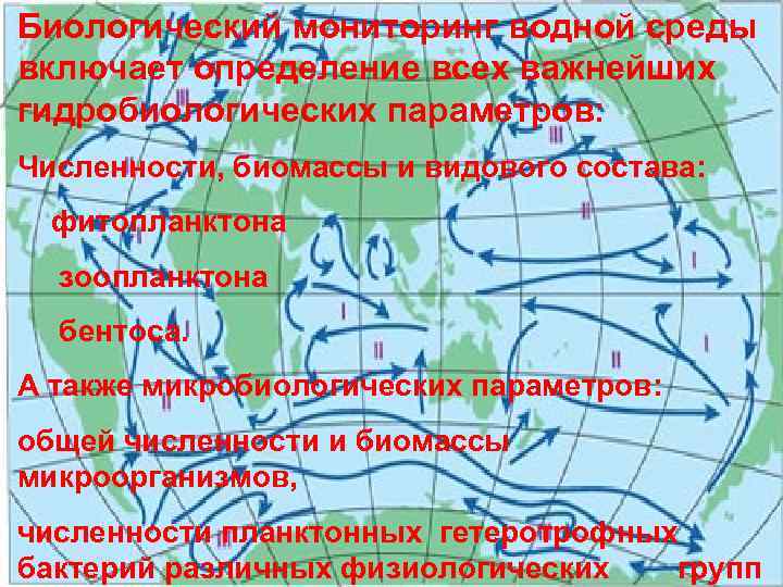 Биологический мониторинг водной среды включает определение всех важнейших гидробиологических параметров: Численности, биомассы и видового