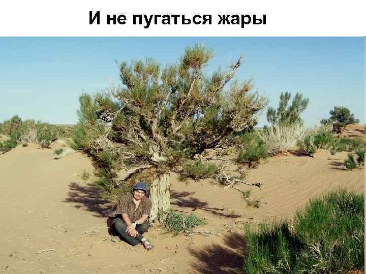 И не пугаться жары 