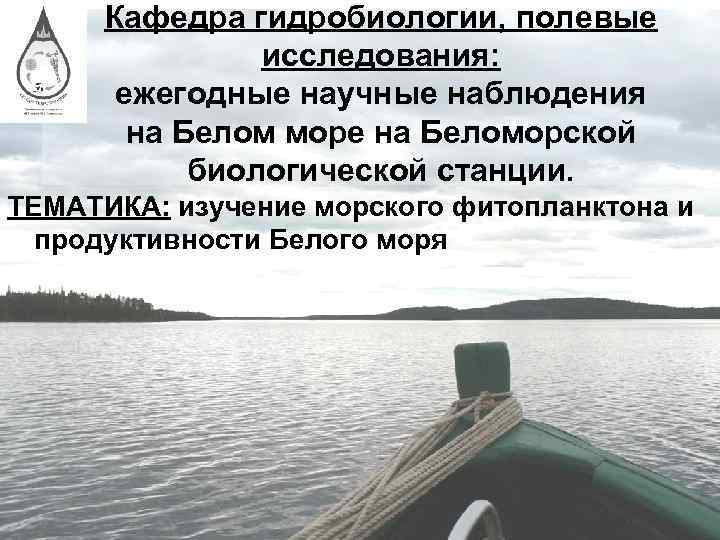 Кафедра гидробиологии, полевые исследования: ежегодные научные наблюдения на Белом море на Беломорской биологической станции.