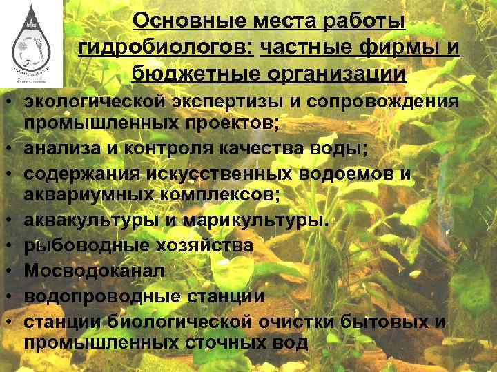 Основные места работы гидробиологов: частные фирмы и бюджетные организации • экологической экспертизы и сопровождения