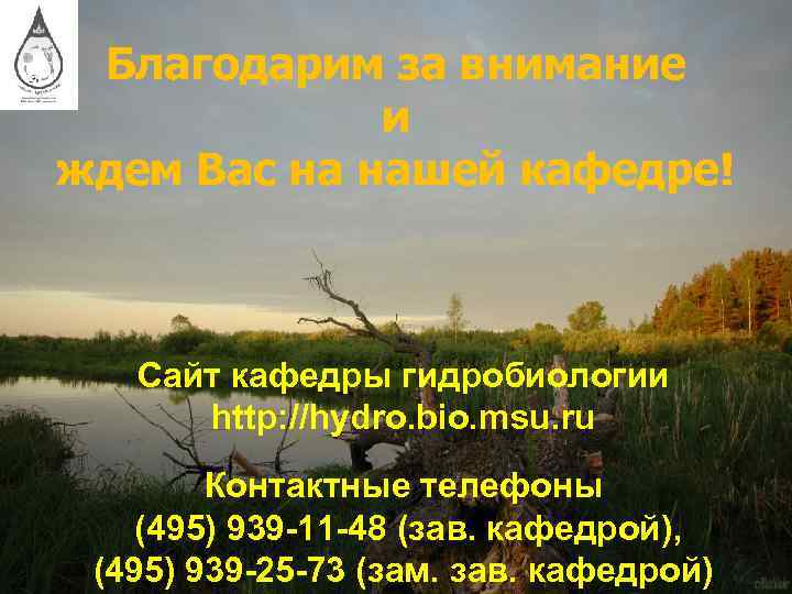 Благодарим за внимание и ждем Вас на нашей кафедре! Сайт кафедры гидробиологии http: //hydro.