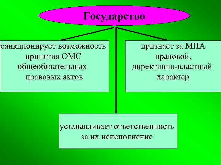 Государство санкционирует возможность принятия ОМС общеобязательных правовых актов признает за МПА правовой, директивно-властный характер