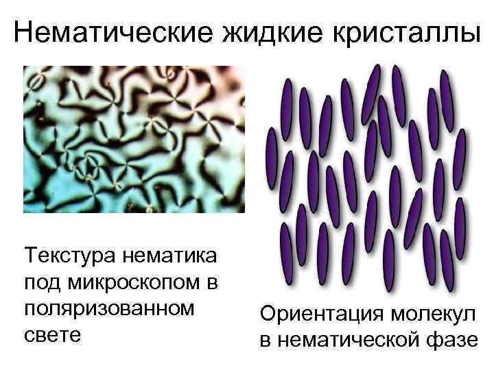 Ориентация молекул