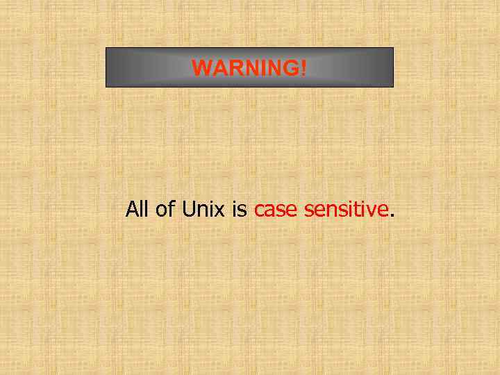 WARNING! All of Unix is case sensitive. 