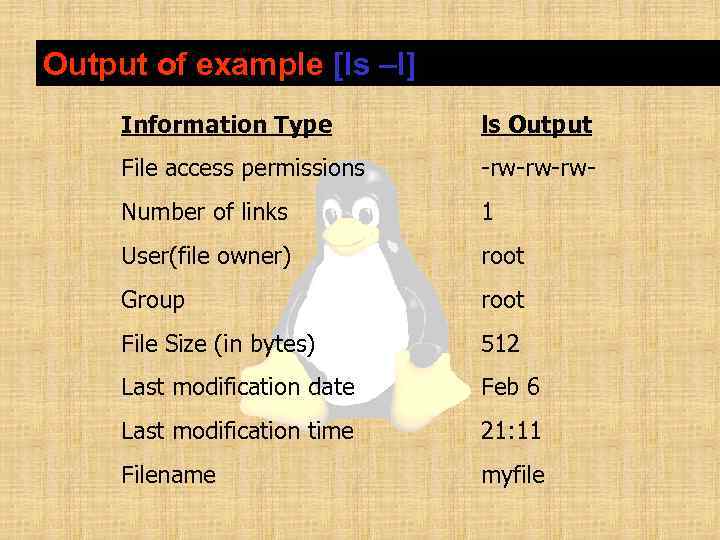 Output of example [ls –l] Information Type ls Output File access permissions -rw-rw-rw- Number