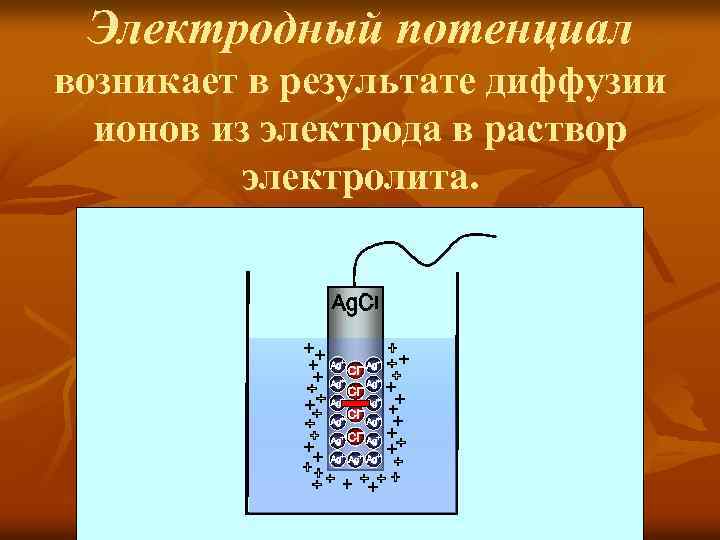 Электродный потенциал возникает в результате диффузии ионов из электрода в раствор электролита. 