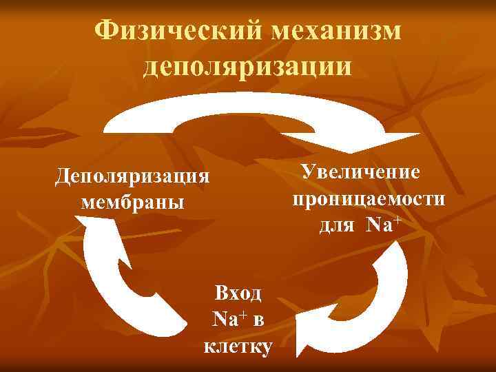 Физический механизм деполяризации Деполяризация мембраны Вход Na+ в клетку Увеличение проницаемости для Na+ 