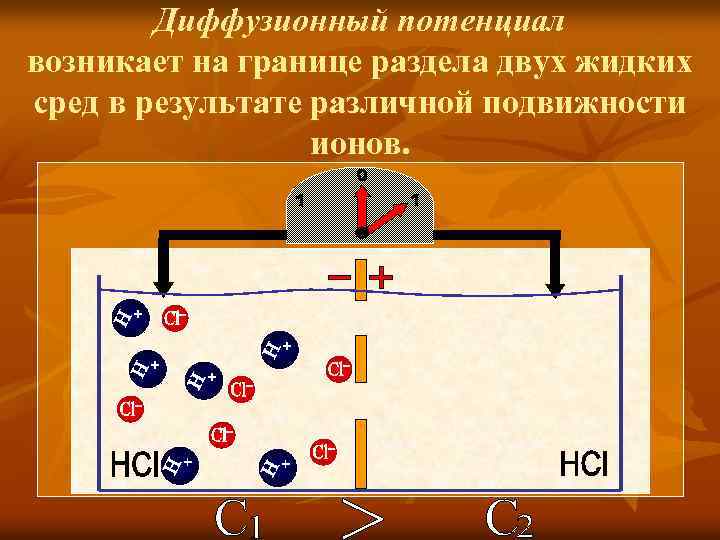 Диффузионный потенциал возникает на границе раздела двух жидких сред в результате различной подвижности ионов.