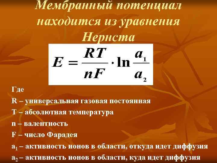 Мембранный потенциал находится из уравнения Нернста Где R – универсальная газовая постоянная Т –