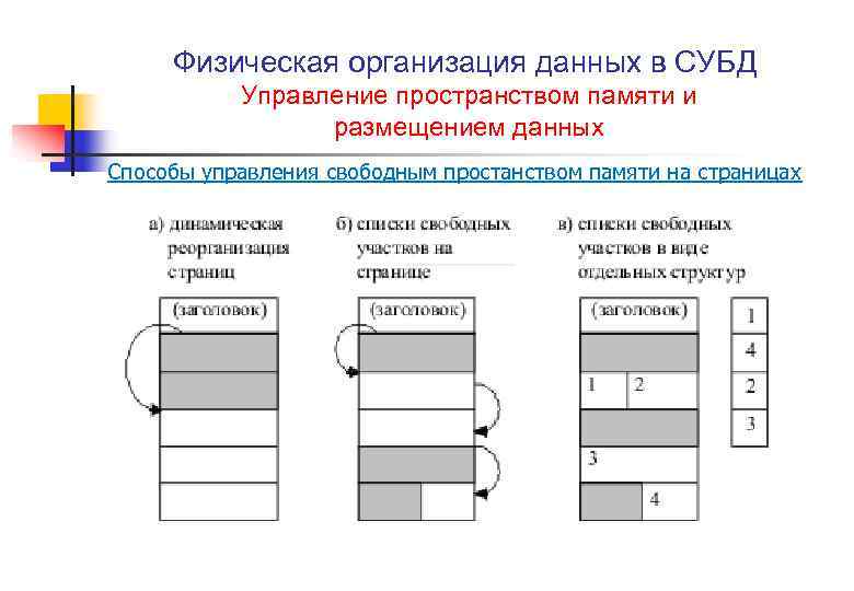 Физическая организация базы. Физическая организация данных. Физическая организация БД. Физическая организация систем управления базой данных. Размещение данных.