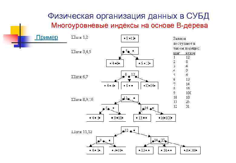 Физическая организация базы. Физическая организация данных. Дерево базы данных. Индексы в СУБД. Индексы СУБД примеры.