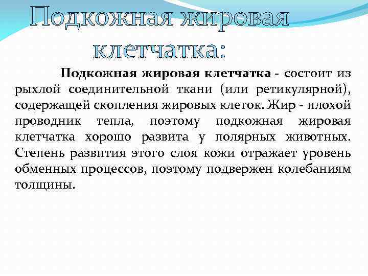 Подкожная жировая клетчатка: Подкожная жировая клетчатка - состоит из рыхлой соединительной ткани (или ретикулярной),
