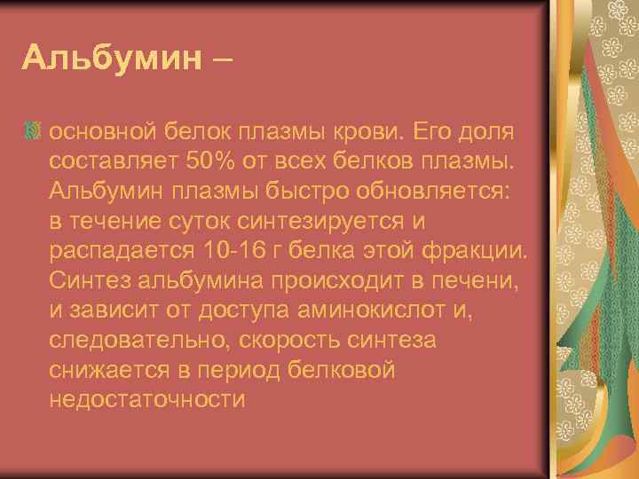 Альбумин – основной белок плазмы крови. Его доля составляет 50% от всех белков плазмы.