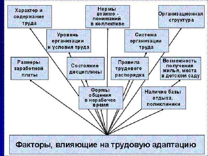 Влияние адаптации. Схема адаптации нового сотрудника. Факторы влияющие на адаптацию персонала. Личностные факторы трудовой адаптации.