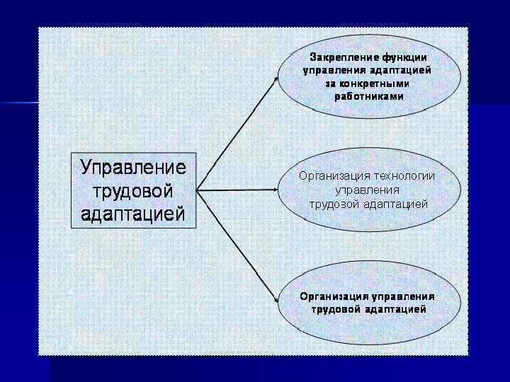 Адаптация персонала в компании тойота