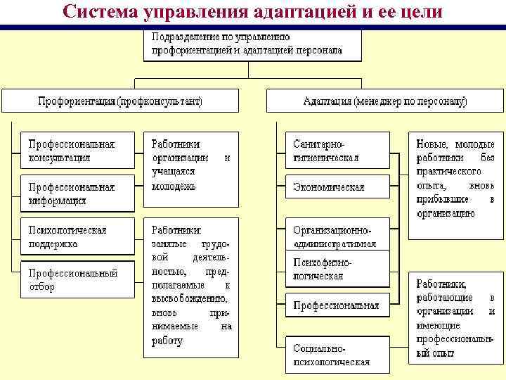 Адаптация персонала в компании тойота