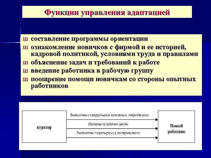 Программа ориентации. Функции адаптации персонала в организации. Управление адаптацией персонала. Управленческая адаптация это. Отдел адаптации персонала функции.