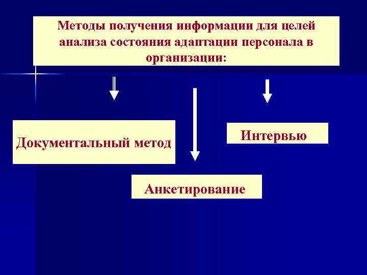 Методы получения информации для целей анализа состояния адаптации персонала в организации: Документальный метод Интервью