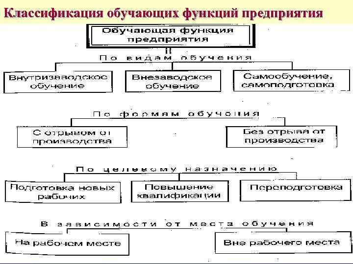 Классификация обучающей функции предприятия.