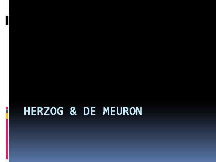 HERZOG & DE MEURON 
