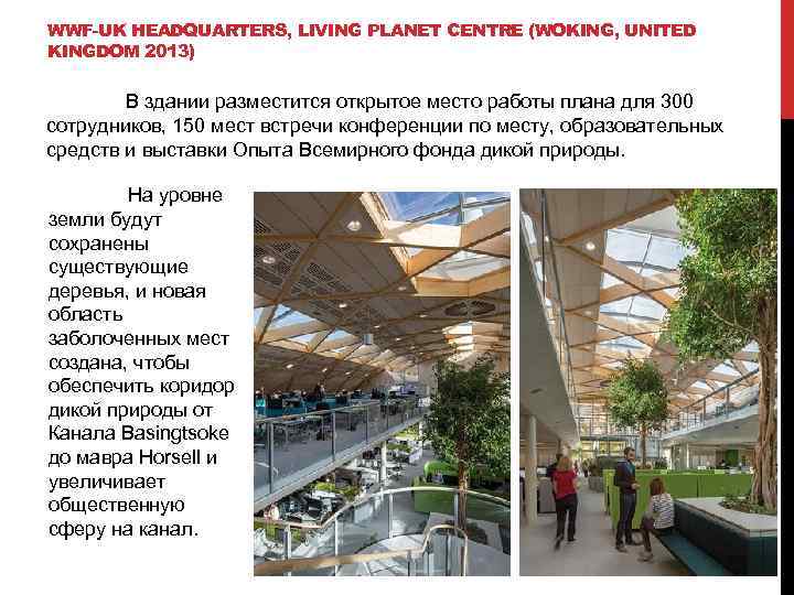 WWF-UK HEADQUARTERS, LIVING PLANET CENTRE (WOKING, UNITED KINGDOM 2013) В здании разместится открытое место