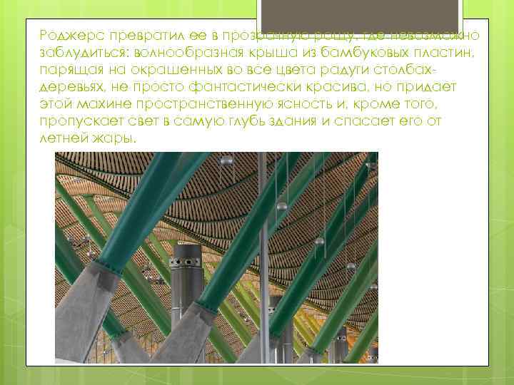 Роджерс превратил ее в прозрачную рощу, где невозможно заблудиться: волнообразная крыша из бамбуковых пластин,