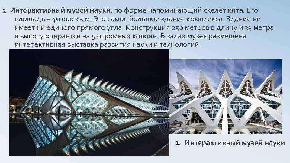 2. Интерактивный музей науки, по форме напоминающий скелет кита. Его площадь – 40 000