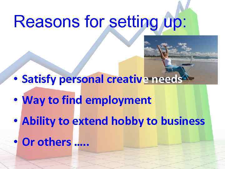 Reasons for setting up: • Satisfy personal creative needs • Way to find employment