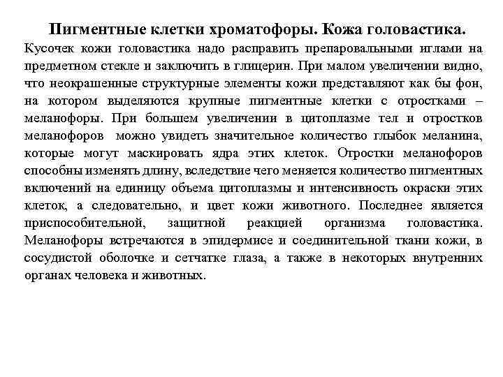 Пигментные клетки хроматофоры. Кожа головастика. Кусочек кожи головастика надо расправить препаровальными иглами на предметном