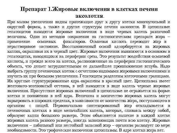 Препарат 1. Жировые включения в клетках печени аксолотля. При малом увеличении видны прилежащие друг