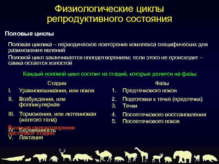 Физиологические циклы репродуктивного состояния Половые циклы Половая циклика – периодическое повторение комплекса специфических для
