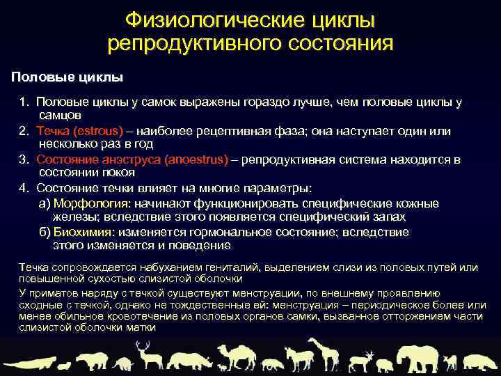 Физиологические циклы репродуктивного состояния Половые циклы 1. Половые циклы у самок выражены гораздо лучше,