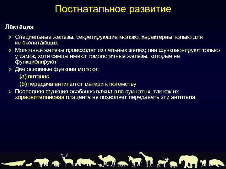 Постнатальное развитие Лактация Ø Ø Специальные железы, секретирующие молоко, характерны только для млекопитающих Молочные