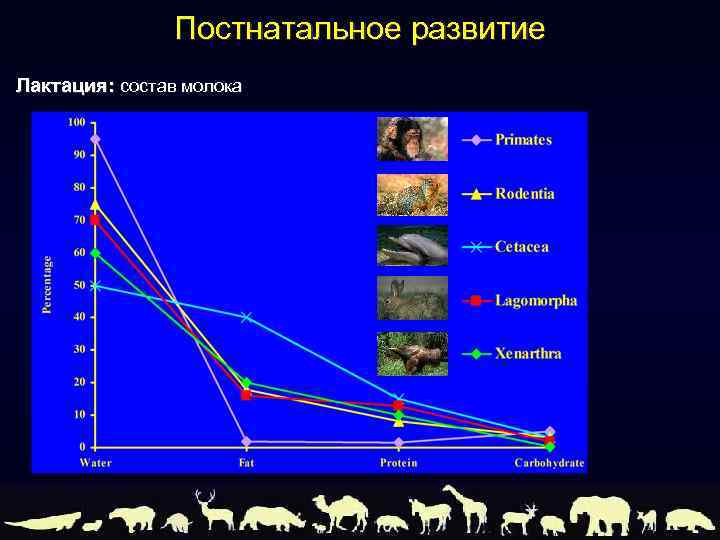 Постнатальное развитие Лактация: состав молока 