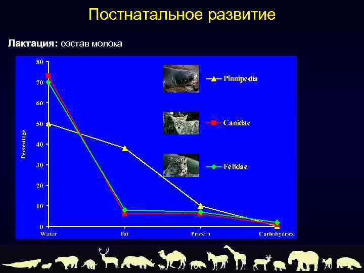 Постнатальное развитие Лактация: состав молока 