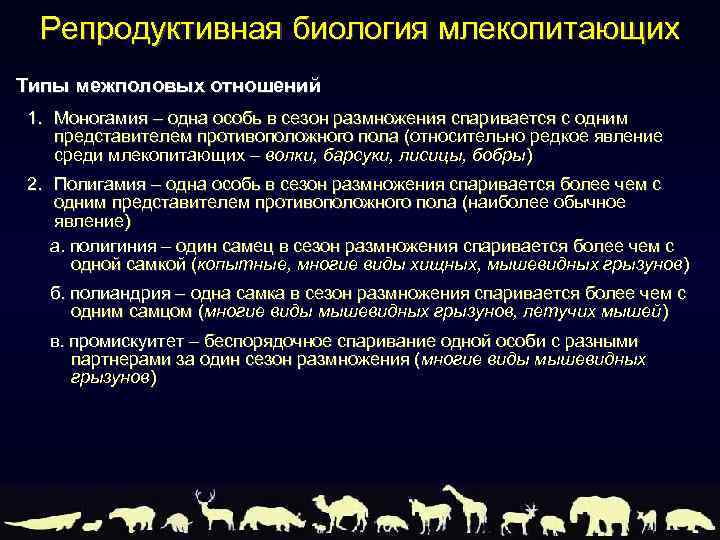 Репродуктивная биология млекопитающих Типы межполовых отношений 1. Моногамия – одна особь в сезон размножения