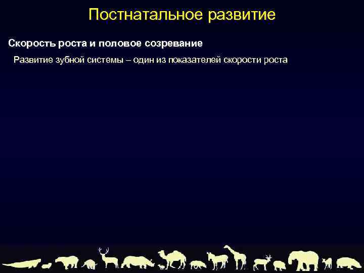 Постнатальное развитие Скорость роста и половое созревание Развитие зубной системы – один из показателей