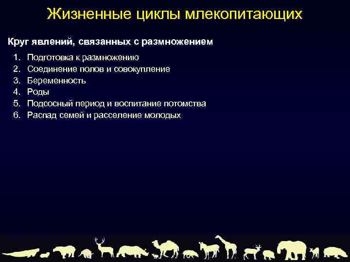 Жизненные циклы млекопитающих Круг явлений, связанных с размножением 1. 2. 3. 4. 5. 6.