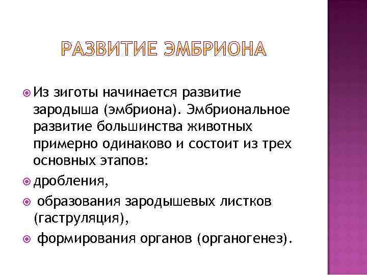  Из зиготы начинается развитие зародыша (эмбриона). Эмбриональное развитие большинства животных примерно одинаково и
