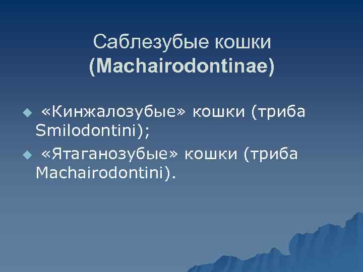 Саблезубые кошки (Machairodontinae) «Кинжалозубые» кошки (триба Smilodontini); u «Ятаганозубые» кошки (триба Machairodontini). u 