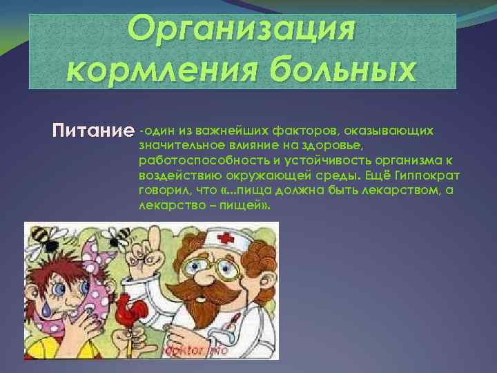 Организация кормления больных Питание -один из важнейших факторов, оказывающих значительное влияние на здоровье, работоспособность