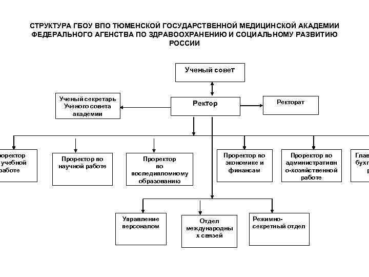 роректор учебной работе СТРУКТУРА ГБОУ ВПО ТЮМЕНСКОЙ ГОСУДАРСТВЕННОЙ МЕДИЦИНСКОЙ АКАДЕМИИ ФЕДЕРАЛЬНОГО АГЕНСТВА ПО ЗДРАВООХРАНЕНИЮ