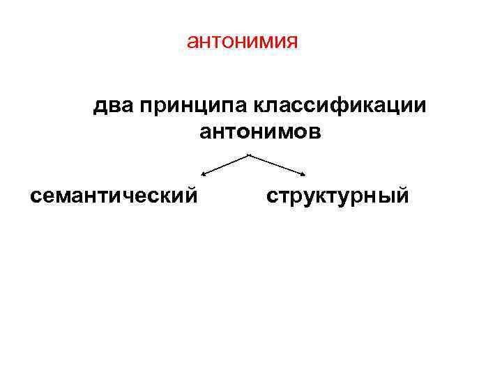 антонимия два принципа классификации антонимов семантический структурный 