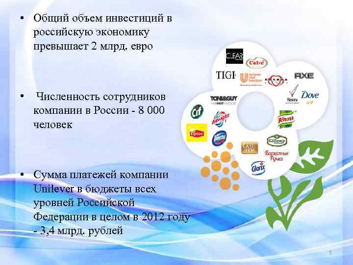  • Общий объем инвестиций в российскую экономику превышает 2 млрд. евро • Численность