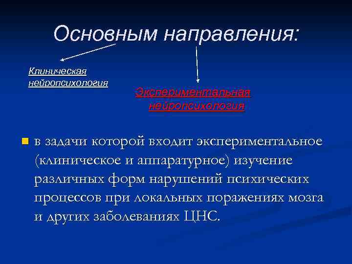 Основным направления: Клиническая нейропсихология n Экспериментальная нейропсихология в задачи которой входит экспериментальное (клиническое и