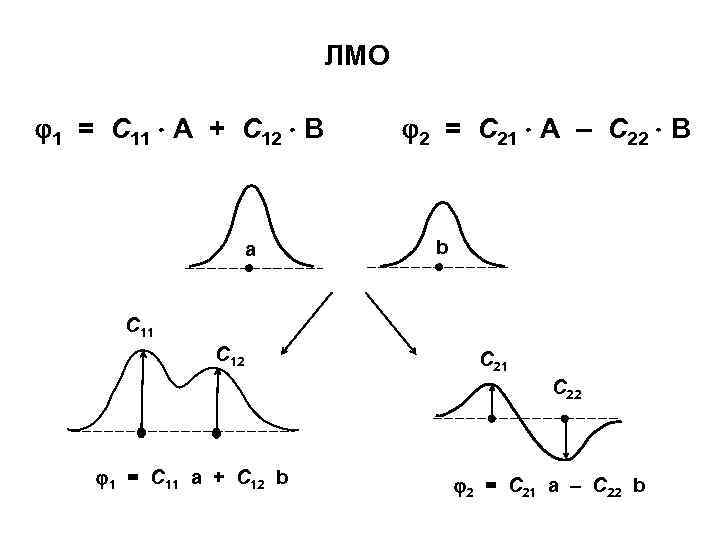 ЛМО 1 = C 11 A + C 12 B a 2 = C