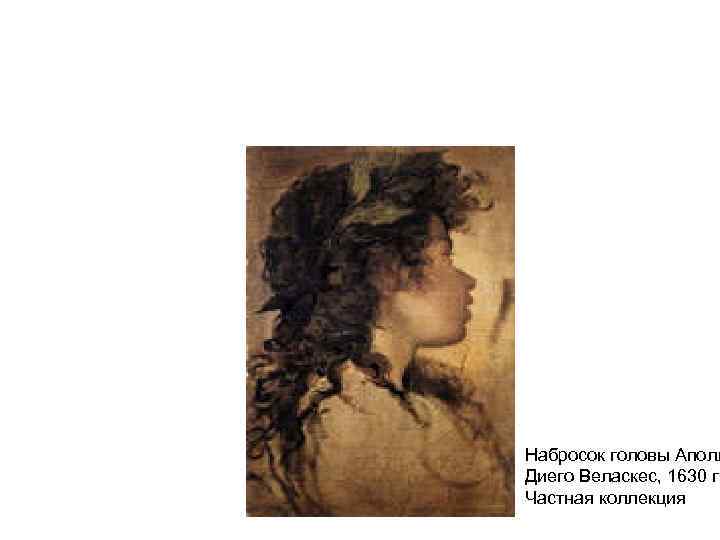 Набросок головы Аполл Диего Веласкес, 1630 г. Частная коллекция 