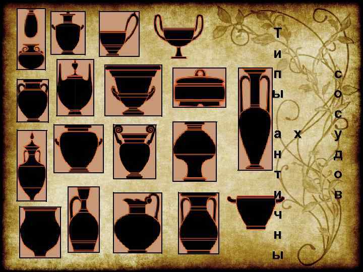 Т и п ы а х н т и ч н ы с о